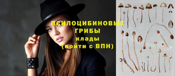 кокаин премиум Новозыбков