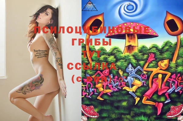 кокаин премиум Новозыбков